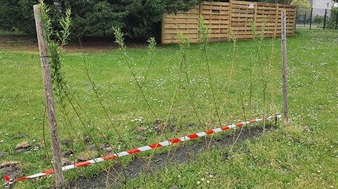 Des campus éco-responsables