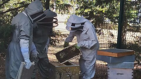 Des campus éco-responsables