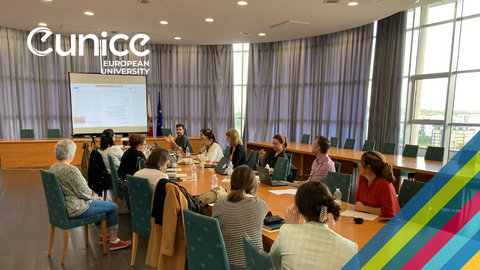 Photographie de la réunion Peer-IR-View