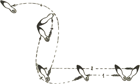  PIED - UNE HISTOIRE DES ENSEIGNANT·ES EN DANSE (XIXe siècle - 1939)