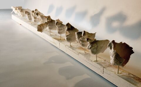 Exposition : Interactions de Bruno Dupire