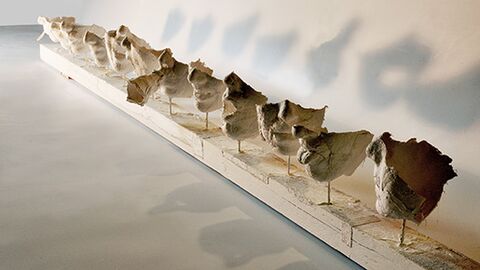 Exposition : Interactions de Bruno Dupire