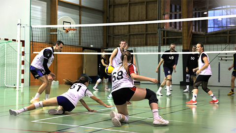 Volley-ball de sélection EUNICE et FFSU