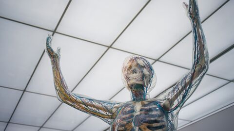 Évaluation de l’efficience des voies neurophysiologie de la motricité volontaire