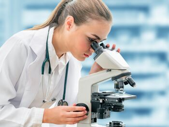 Opportunités EUNICE - STAGE