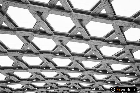 Méthodes numériques alternatives pour la dynamique sous chargements extrêmes