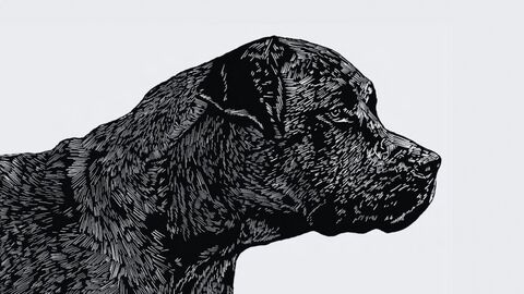 Oeuvre de Florian Ego