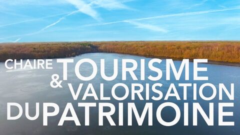 Chaire Tourisme et Valorisation Patrimoine - Mare à Goriaux - Forêt domaniale de Raismes-Saint-Amand-Wallers