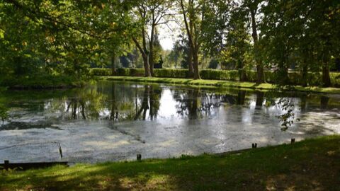 Histoires d’eau et de charbon